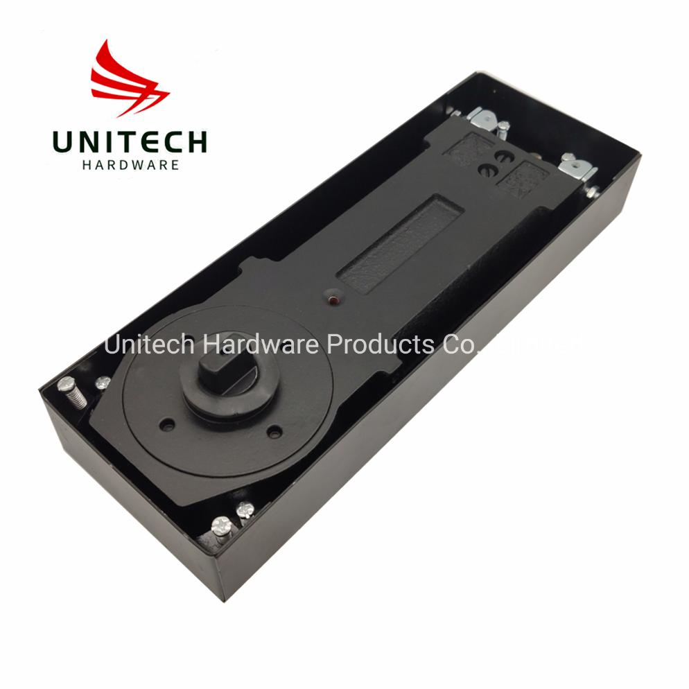 Stainless Steel 304 Double Cylinder Hydraulic Floor Spring Glass Door Closer Hinge