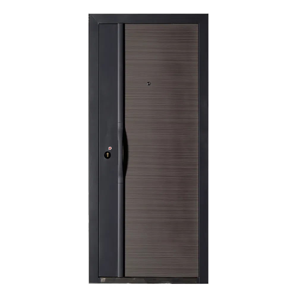 Luxury High Quality Steel Front Door with Long Handle