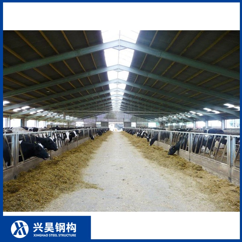 Precision-Welded Steel Column Prefab Metal Storage Farming Equipment Steel Structure Sheep/Goat/Pig/Hog/Cattle/Cow/Poultry House/Shed