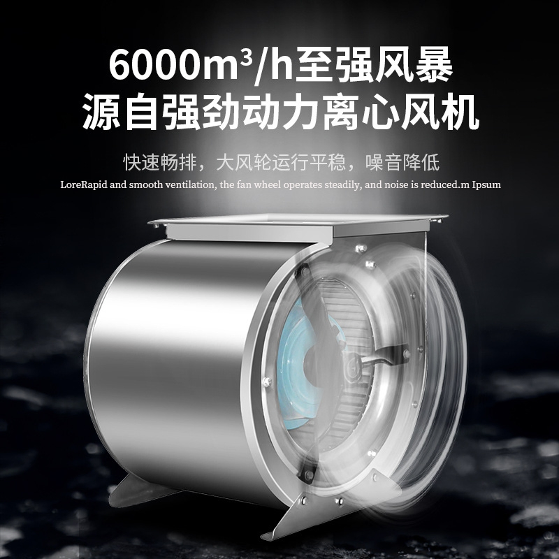 Industrial Smoke Purifier with Integrated Oil Fume Filtration