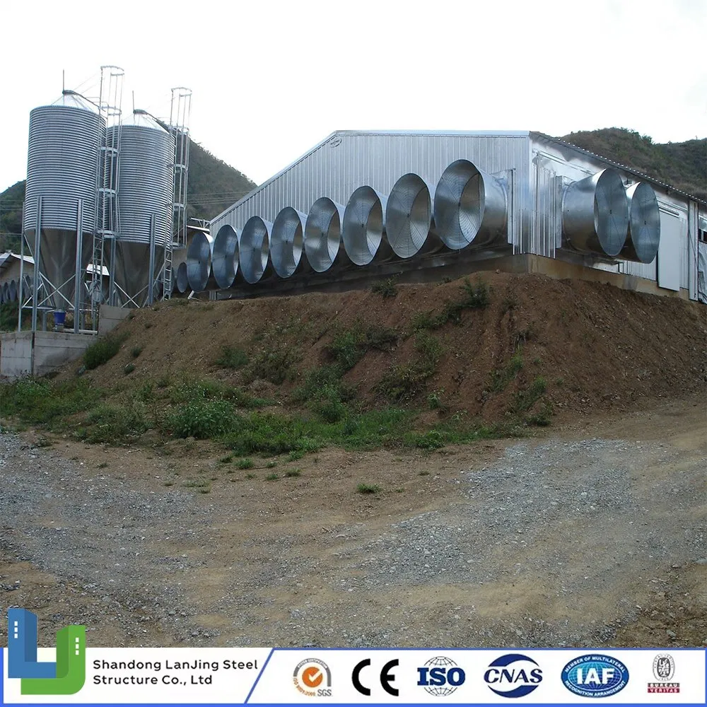 Steel Structure Layer Egg Chicken Broiler Poultry House Prefabricated Building for Ethiopia/Uganda/Zimbabwe