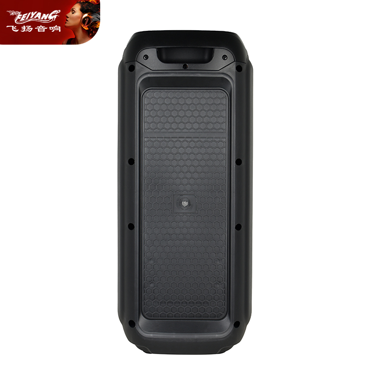 Feiyang New Dual 6.5" Promotion Portable Party Speaker Fg206-17