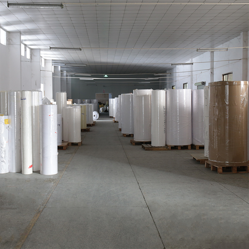 Transparency Pet Special Raw Materials for Cloth and Accessories Adhesive Sticker