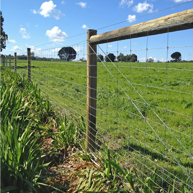 Cheap Galvanized Prairie Protection Net Livestock Cattle Fence