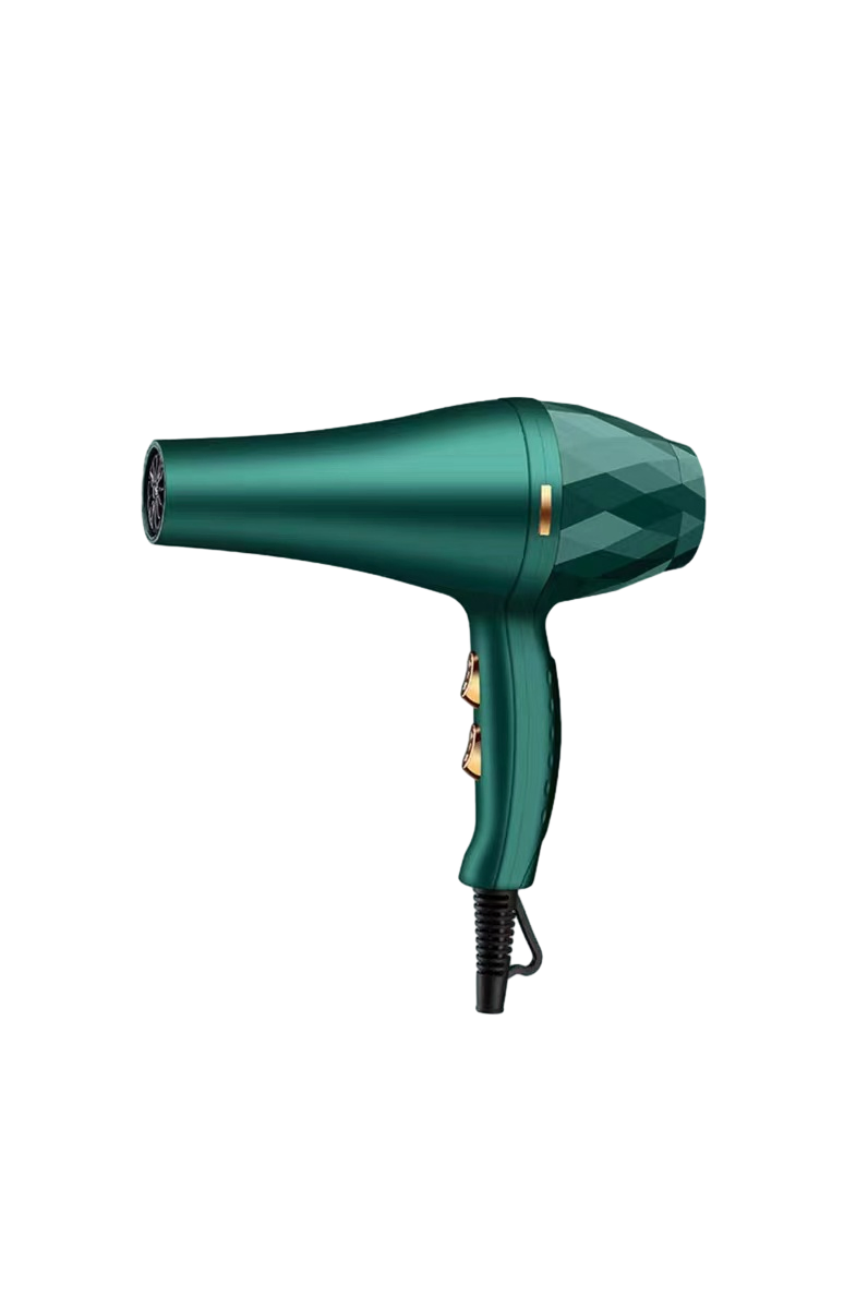 Wholesale Professional Hot and Cold Air Hair Dryer Styler