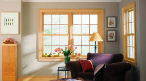 Typical Metal Window and Casement Window Selection Featuring PVC Windows and Aluminum Window with Aluminum-Clad-Windows PVC Window China Windows and Doors Timbe