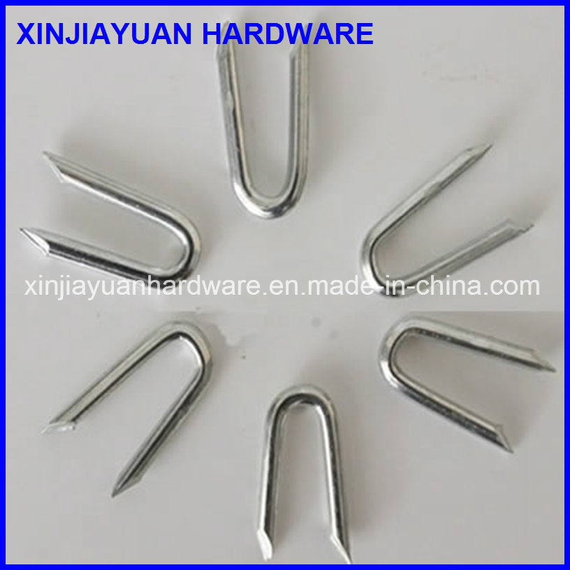 Prime Quality Polish U Shape Iron Nail with Diamond Point