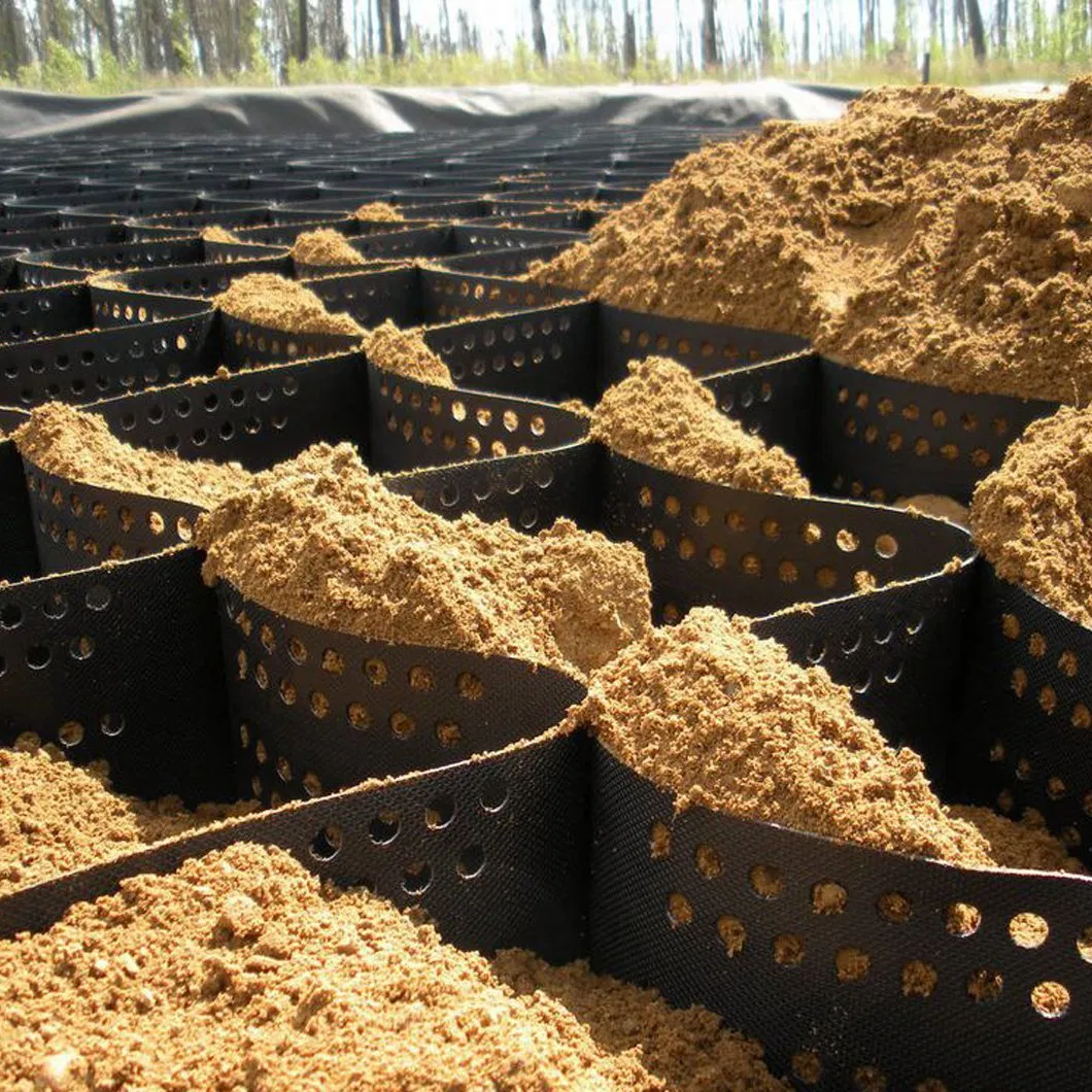 HDPE Geocell Gravel Grid Driveway