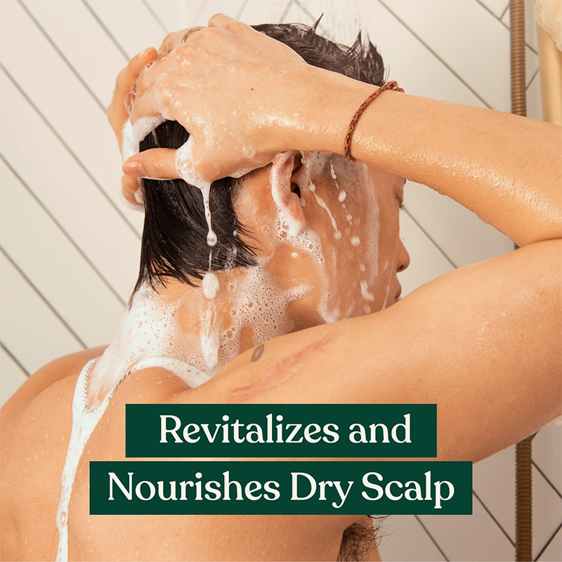 Beauty Cosmetics Inhibit Greasy Hair and Promote Hair Growth Ginger Shampoo