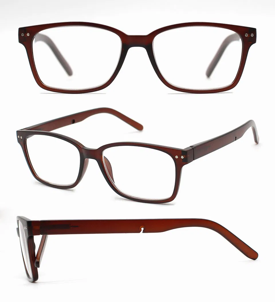 Reading Sunglasses with Clips for Man (WRP803001)