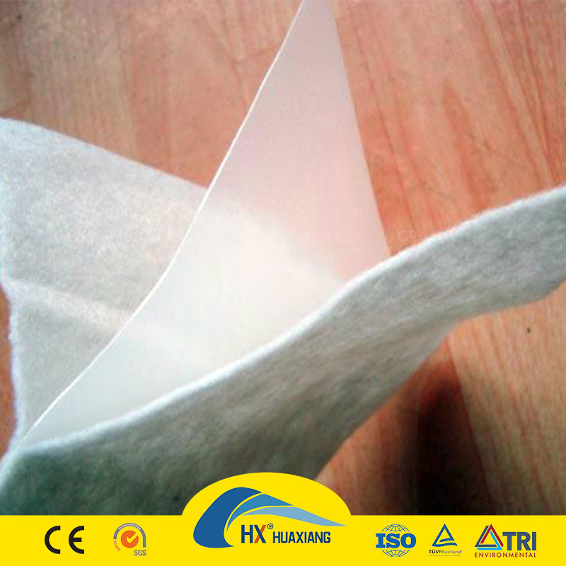 Two Textile One Membrane PE Composite Geomembrane Used in Anti-Seepage