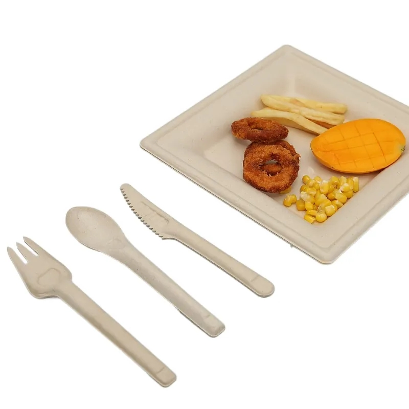 Biodegradable Cutlery Sets Eco-Friendly Sugarcane Bagasse Disposable 6inch Spoon Takeaway