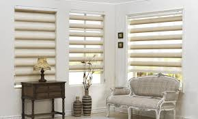 Different Style and Effective Zebra Blind