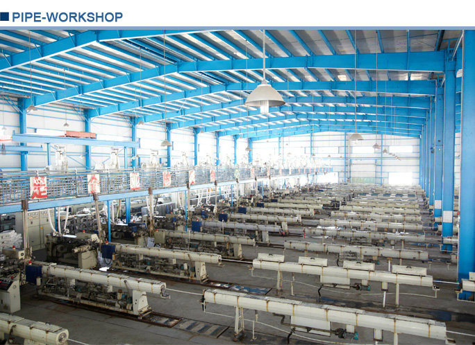 Era Plastic PVC Pipe Fitting/Joint BS4346 Reducing Bush with Kitemark Certificate