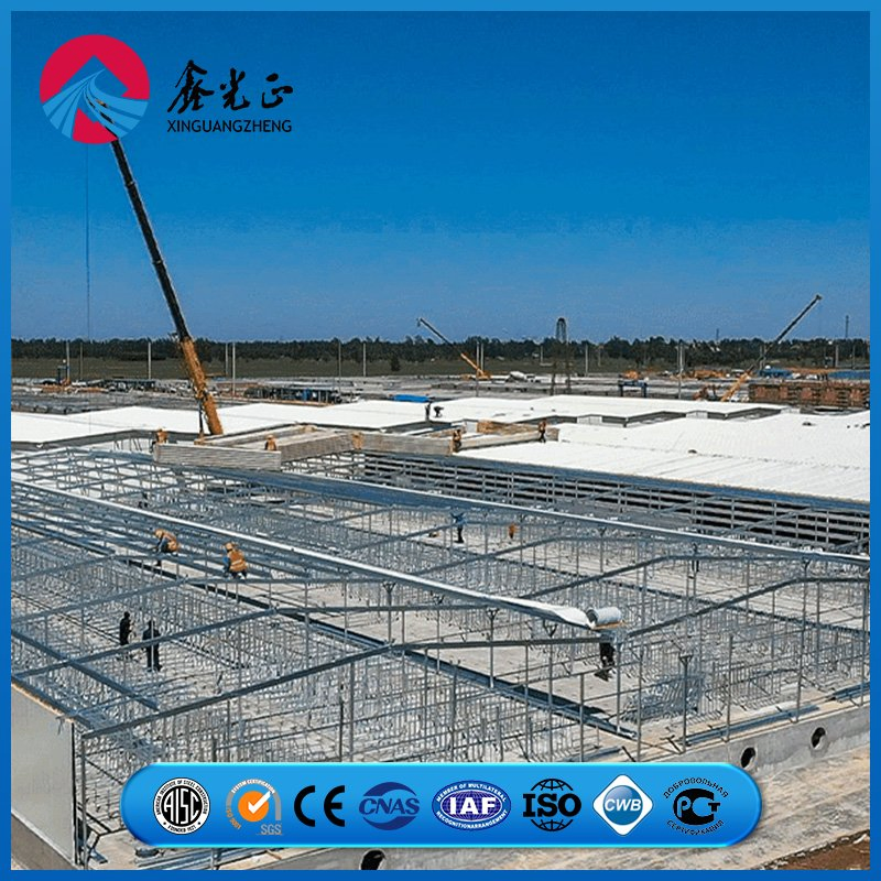 Reinforced Joint Steel Frame Assembly System Chicken Prefab Metal Storage Farming Equipment Steel Structure Sheep/Goat/Pig/Hog/Cattle/Cow/Poultry House/Shed