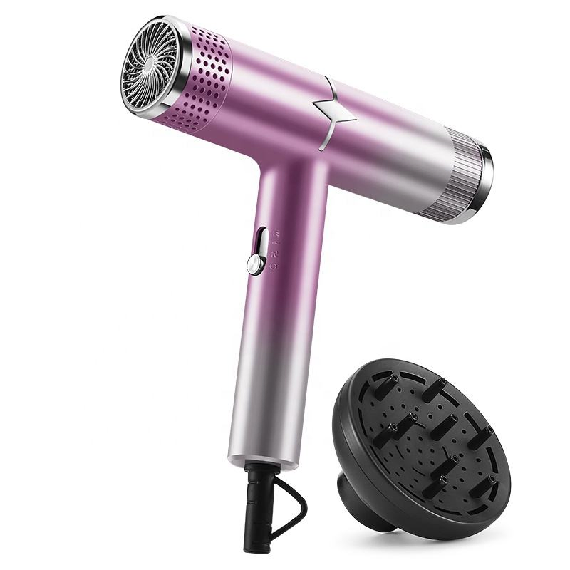 Professional Quick-Dry Hair Dryer for Home and Travel