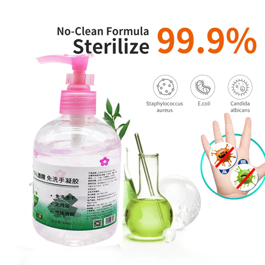 Private Label Wholesale 300ml Disinfectant Liquid Hand Sanitizer