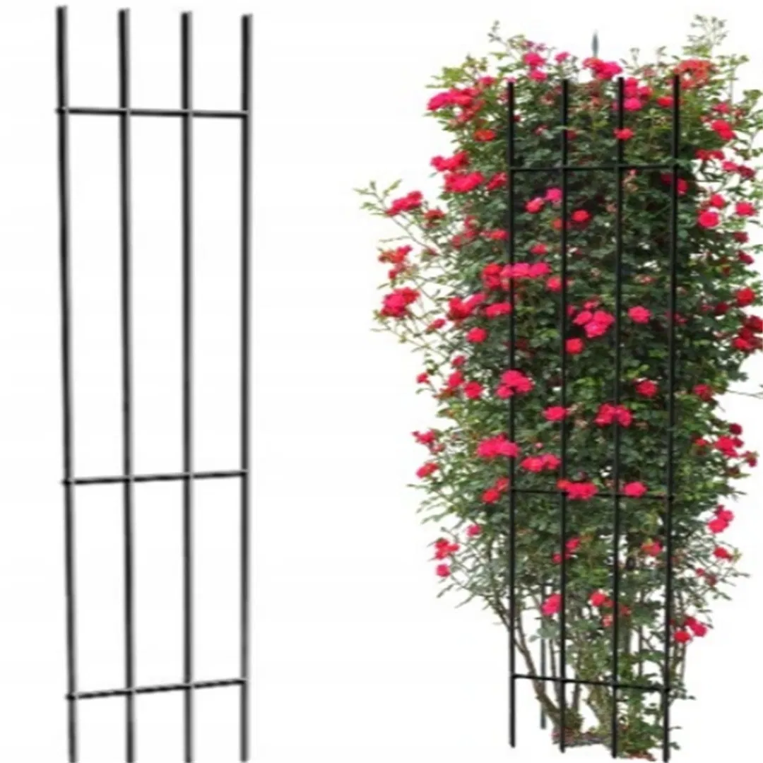 Garden Pergola Terrace for Roses Ladder Support Trench for Rose