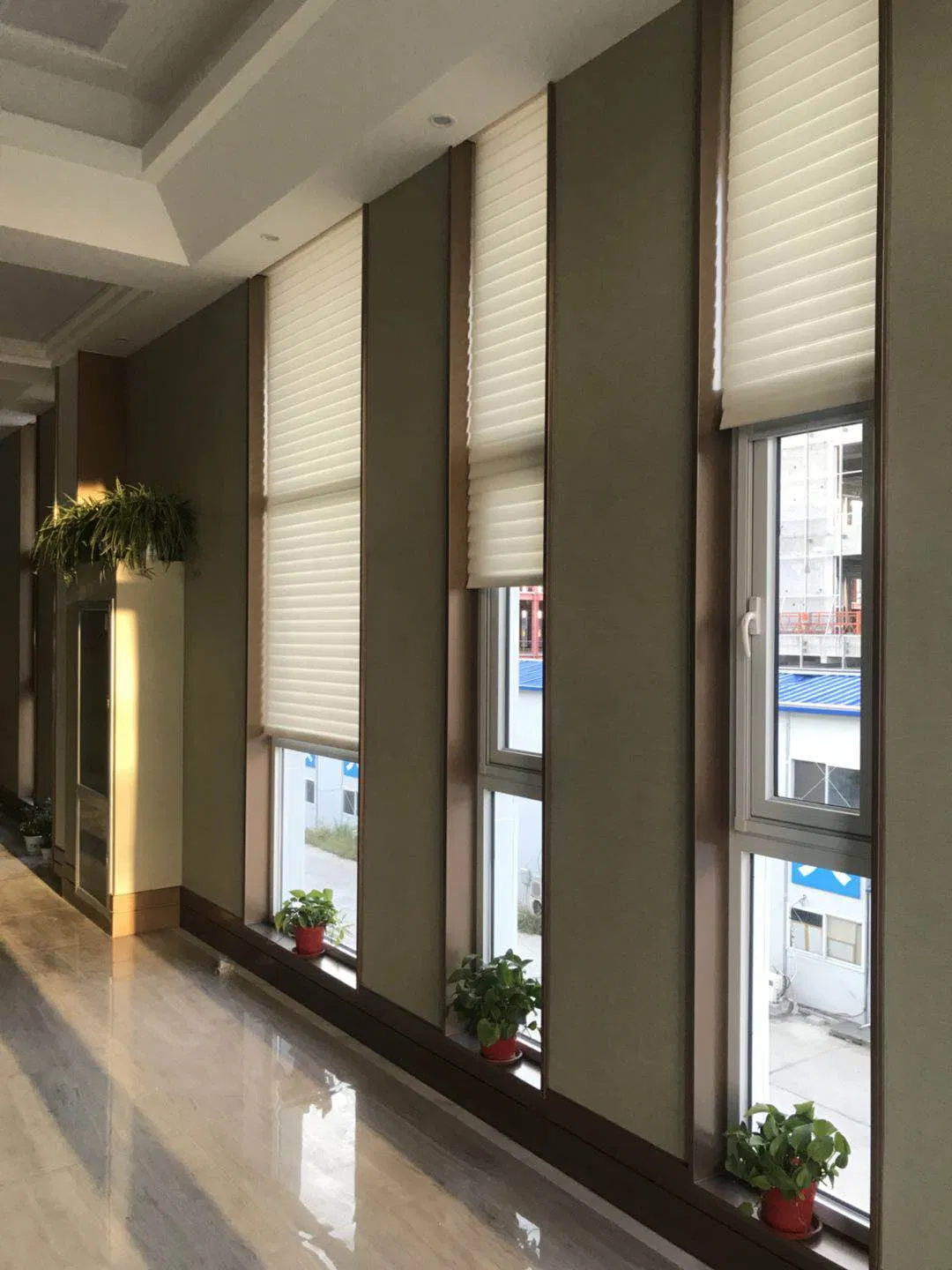 China Customized Size Zebra Blinds for Home