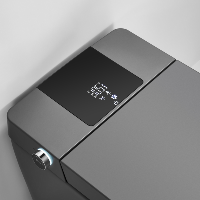 Watermark & Wels Certified Luxury Villa Bathroom Automatic Flush Lady Wash Rear Wash 220-240V SAA Approved Remote Black Control Smart Toilet