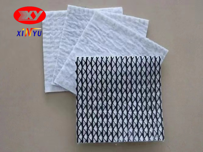 Two Dimension 4mm 5mm 7mm 6mm Geocomposite HDPE Biplanar Drainage Geonet Hot Bonded with One or Two Sides Geotextile Factory Price