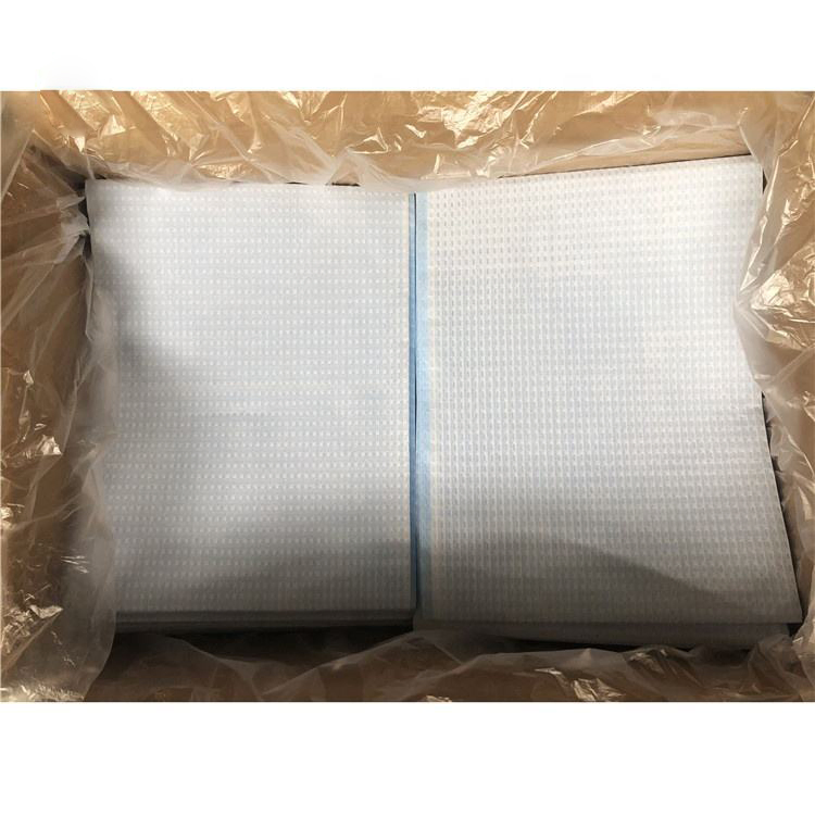 Incontinence PE Film Examination Sheet Bed Sheet for Exam for Hospital in China in Bulk
