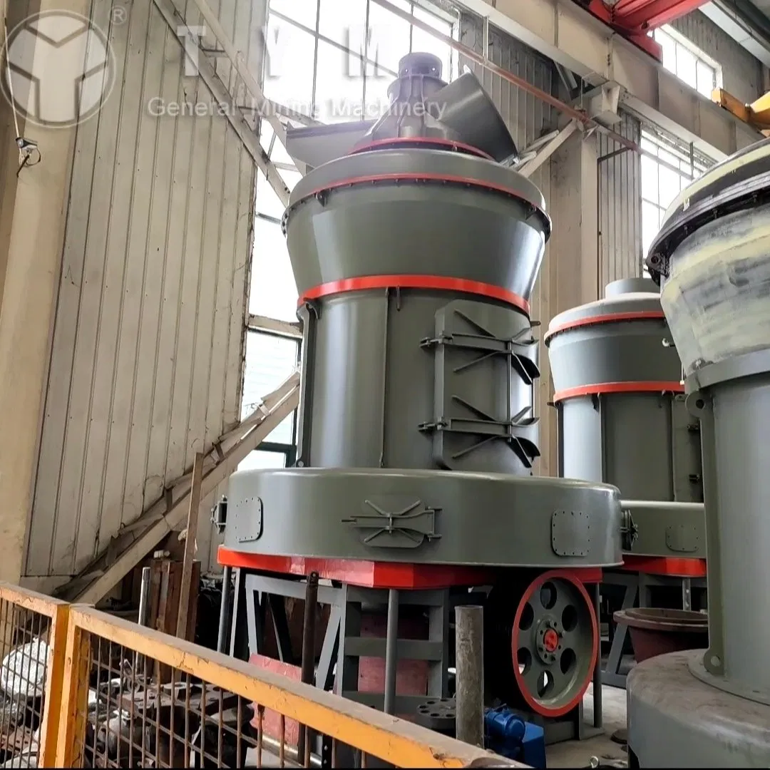 High Quality Gypsum Powder Pulverizer/Micropowder Grinding Mill
