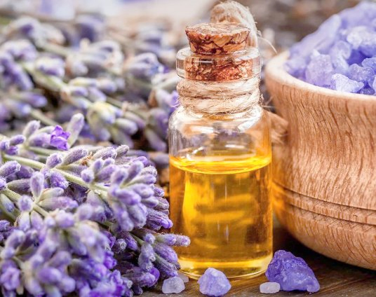 Factory 100% Pure Natural Organic Lavender Oil Essential Oil