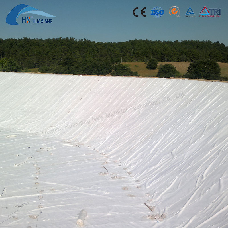 ASTM High Strength Acupuncture PP Composite Geotextile Geomembrane
