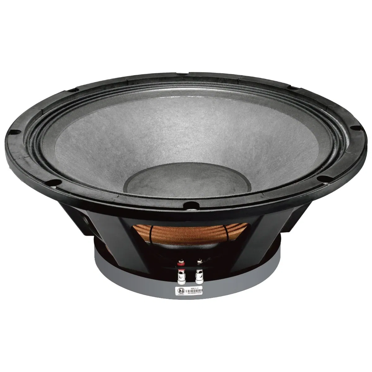 21 Inch Speaker 300mm Ferrite Ring Max Power 1200W Professional Speaker