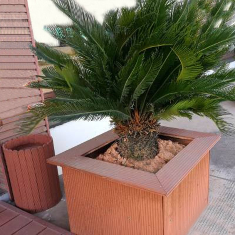 Wood Plastic Garden Pot Planter with WPC Flower Box - P31