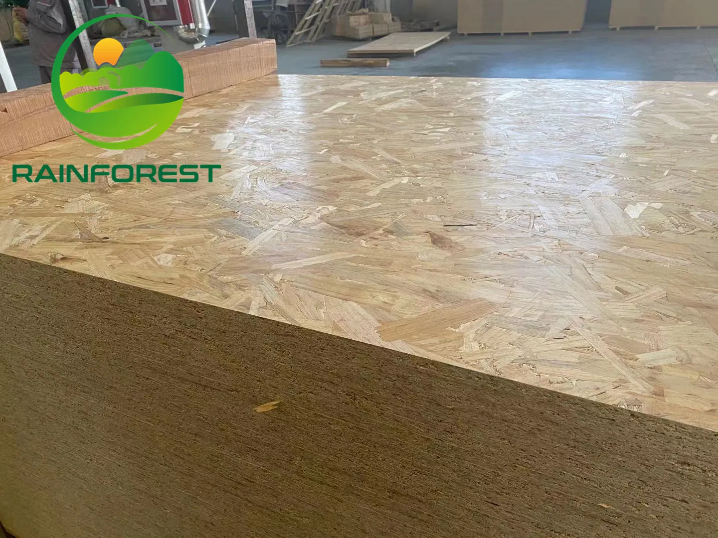 Good Price 9/11/13mm Oriented Strand Boards OSB for Construction