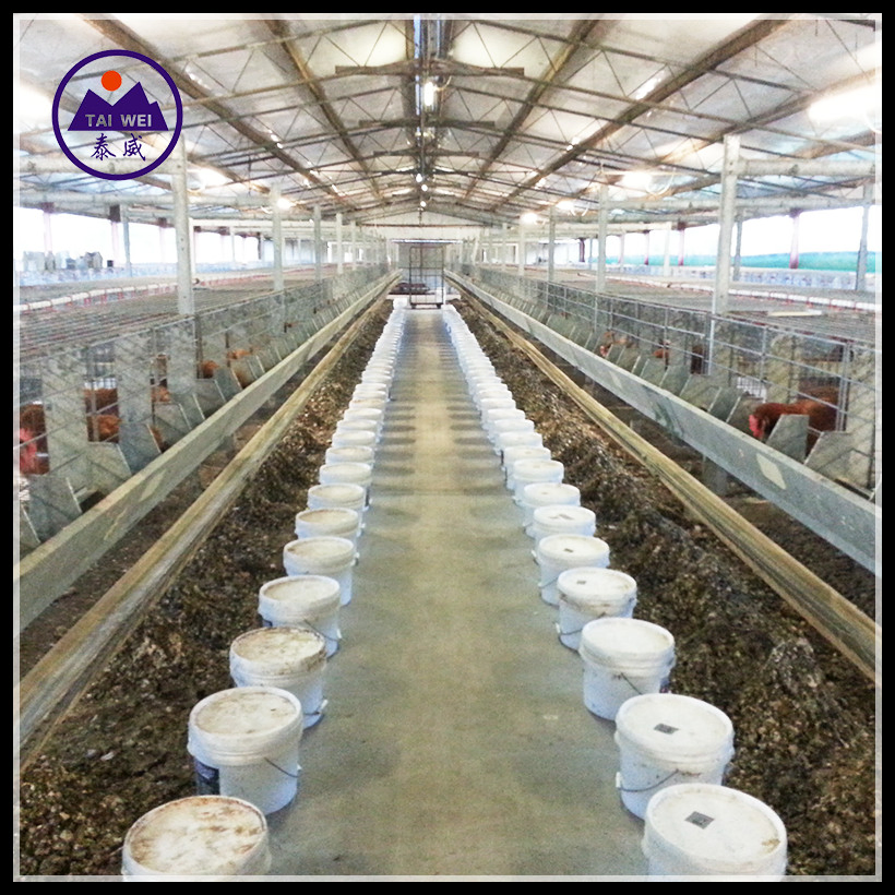 Prefabricated / Prefab Steel Structure Material/Warehouse / Workshop / Construction Building for Chicken House and Egg Layer Poultry Farm (TW1082J)