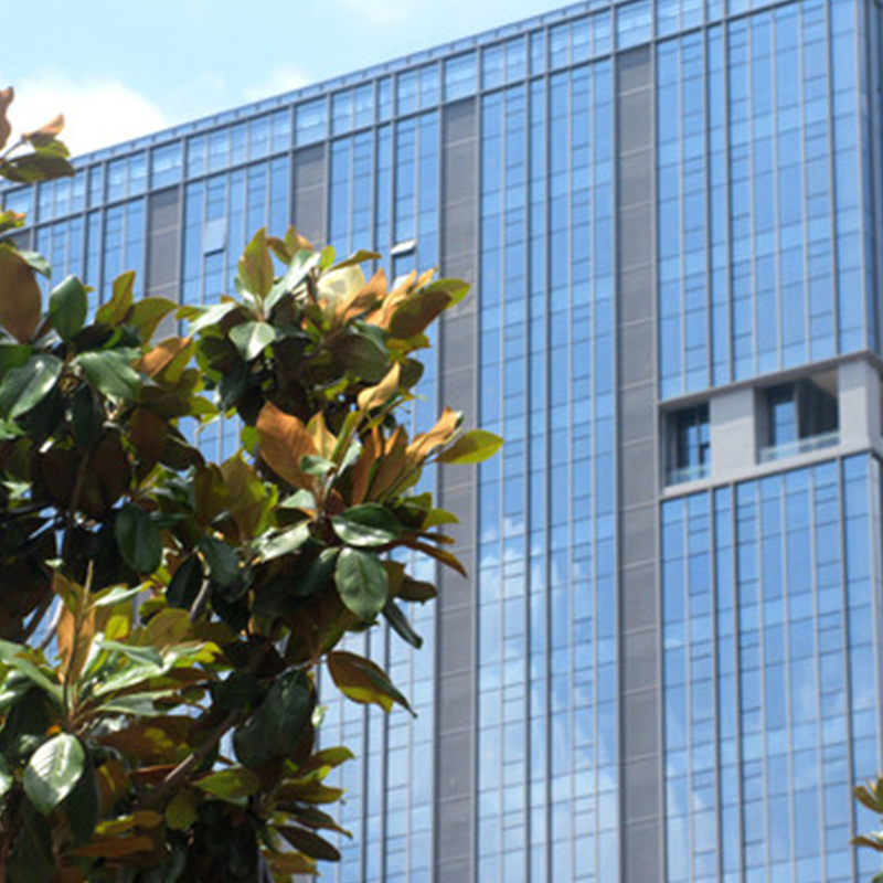 Durable Metal Aluminum Curtain Wall with Glazing and Aluminum Profiles for Commercial and Residential Buildings