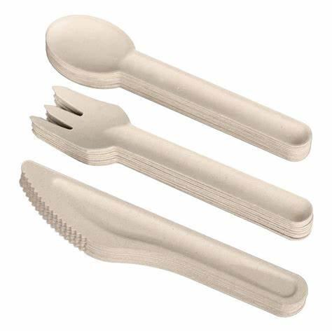 Sugarcane Bagasse Spoon Biodegradable Material Disposable Catering Product Picnic Spoon