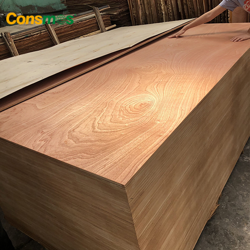 1220*2440mm Waterproof Poplar Core E0 Glue Sapele/Birch/Pine Wood Veneer Laminated Fancy Commercial Plywood Board for Furniture/Decoration