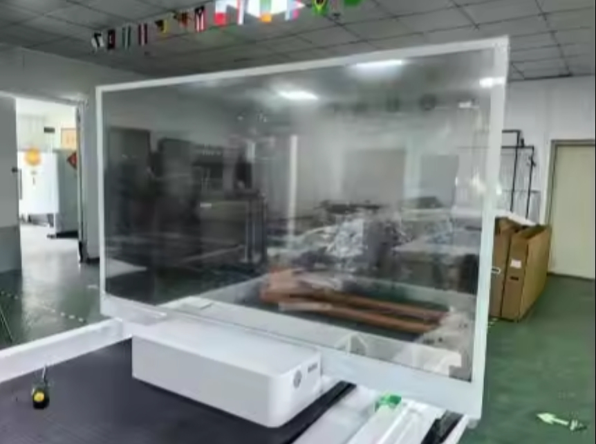 Hot Selling 55inch Transparent OLED with Touch OEM ODM