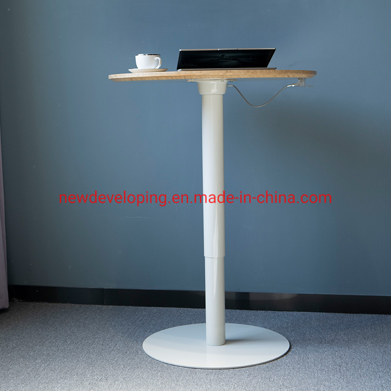 Eco Friendly Natural Bamboo Top Gas Spring Desk