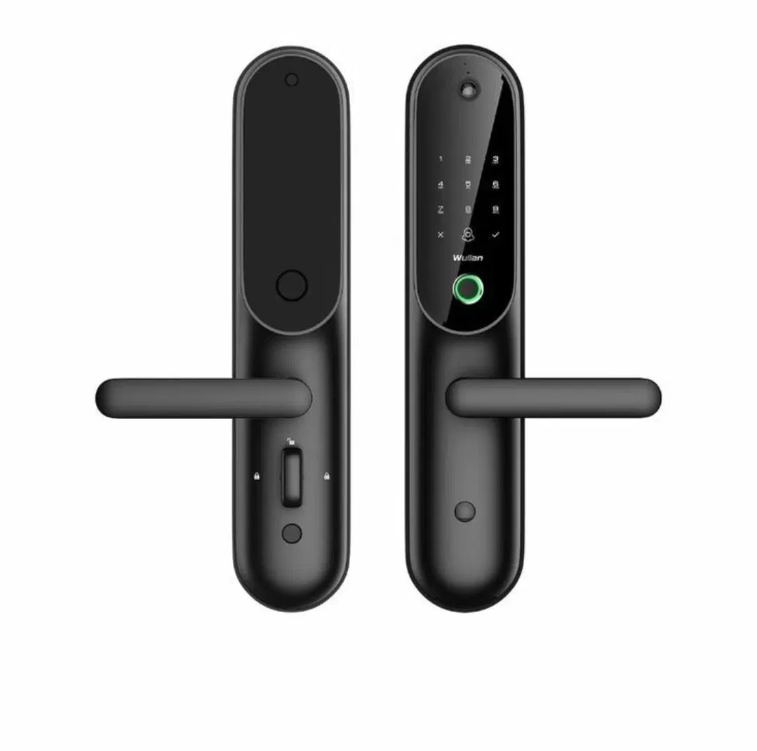 Industrial-Strength Anti-Violence Smart Door Lock