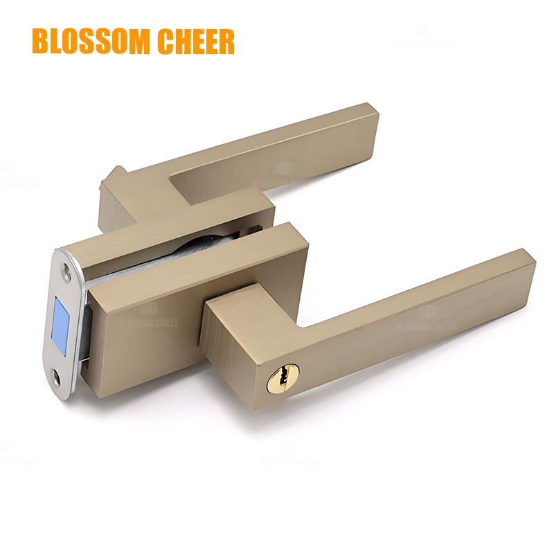 Sleek Modern Black Aluminium Glass Door Lock for Interiors
