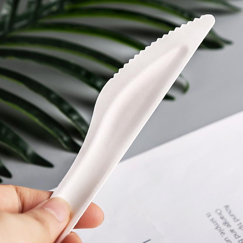 Disposable 6 Inches Paper Knife Biodegradable Sugarcane Knife
