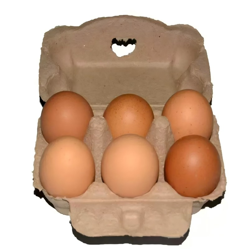 Лотки для яиц из бамбукового волокна, экологичные