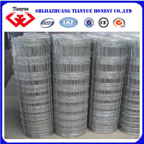 Hot Dipped Galvanized Grassland Fences (TYB-603)