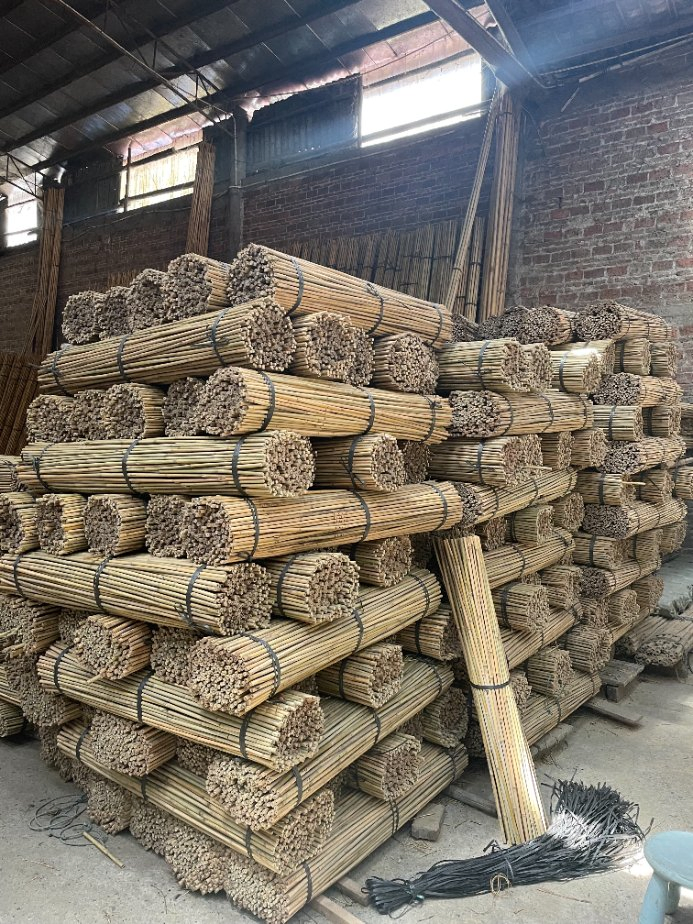 Bamboo Sticks Poles Canes Stakes for Plant Support