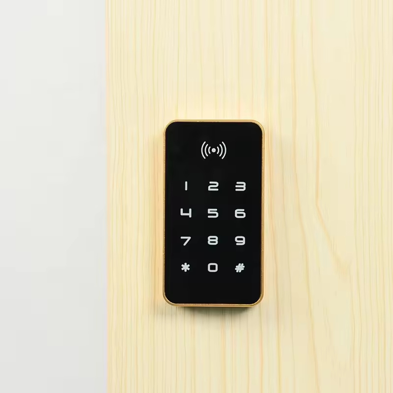 RFID Card Keypad Electronic Gym Sauna Swipe Digital Card RFID Locker Lock