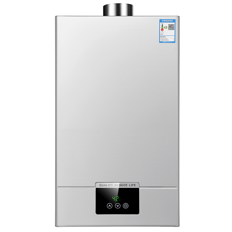 Premium Home Appliance Instant Shower Heater New Design Gas Water Heater with Custom Logo