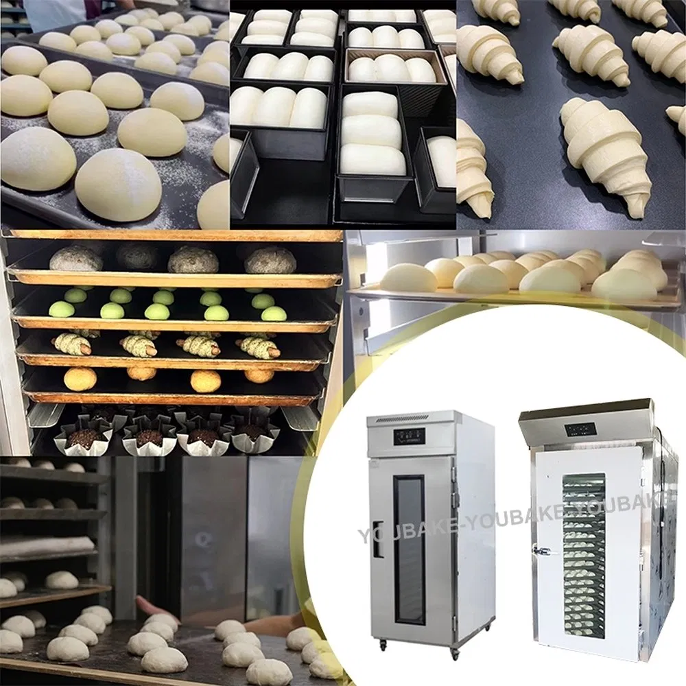 Advanced Temperature-Adjustable Dual-Function Dough Proofer Fermenting Refrigerated Room for Specialized Sourdough Production