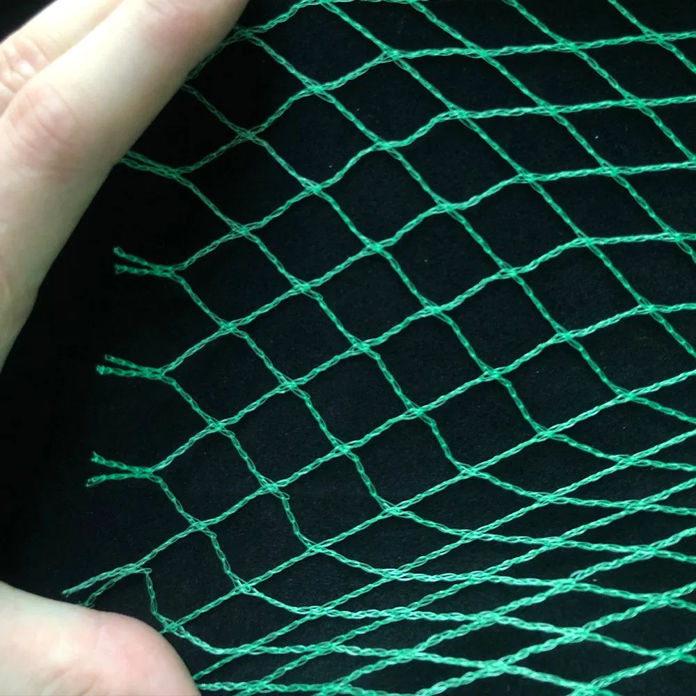 Farm Garden Crops Plants Bird Nets for Catching Birds Garden Protect Polyethylene Bird Netting
