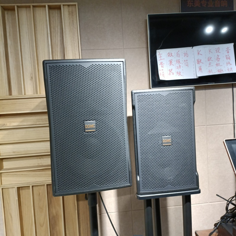 19. Domc K210 10-Inch Speaker: The Perfect Solution for Studio Monitoring