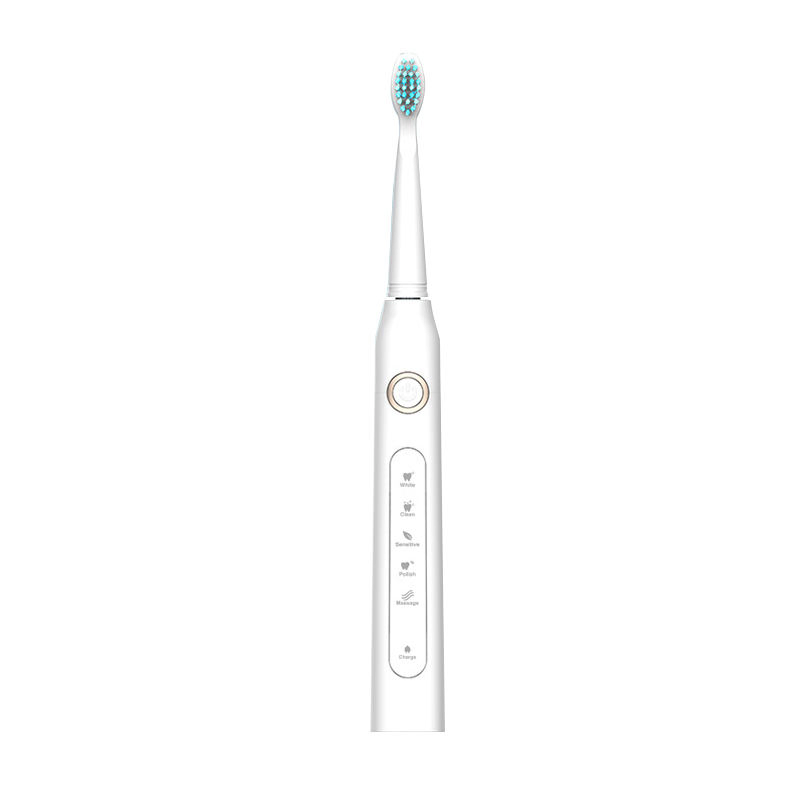 New Product USB Charging Rotary Wholesale Sonic Electric Toothbrush